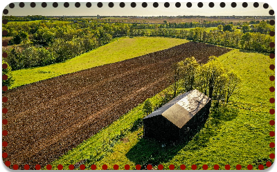 Sai Web Expert Ecommerce Website